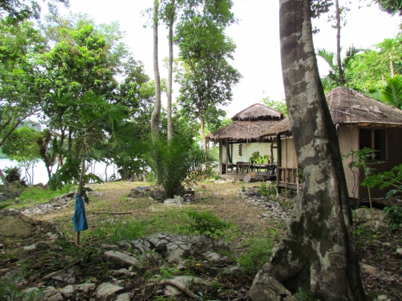 Мой первый Тай или верните меня обратно и навсегда!