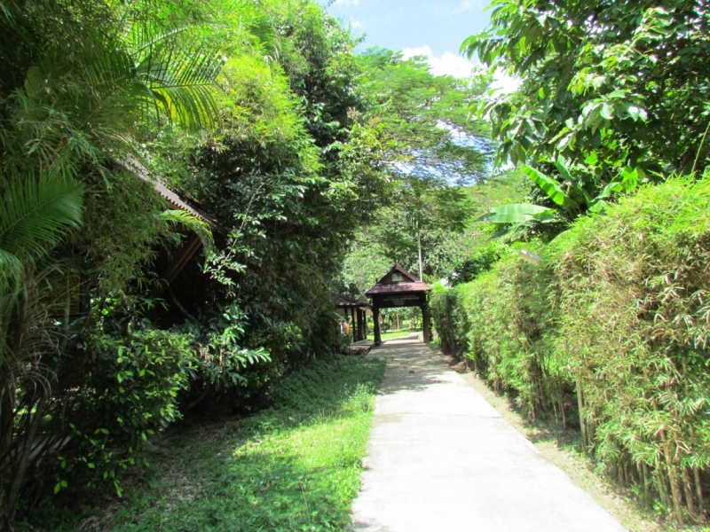 Мой первый Тай или верните меня обратно и навсегда!