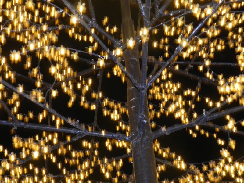 Вьетнам своим ходом с севера на юг