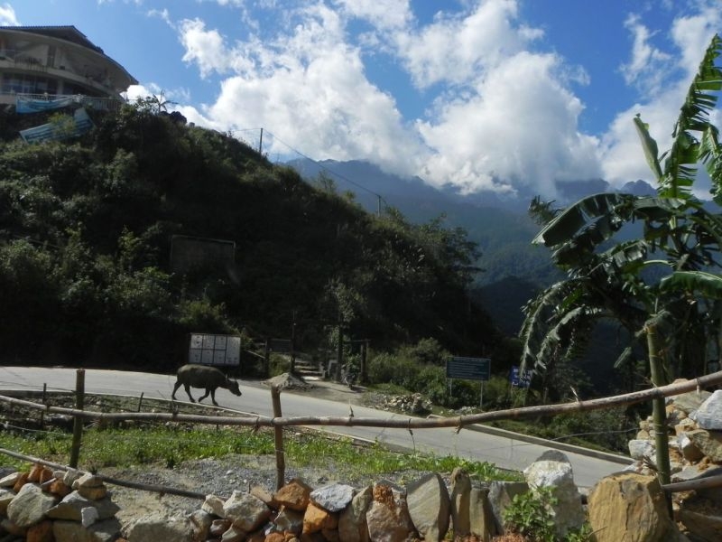 Вьетнам своим ходом с севера на юг