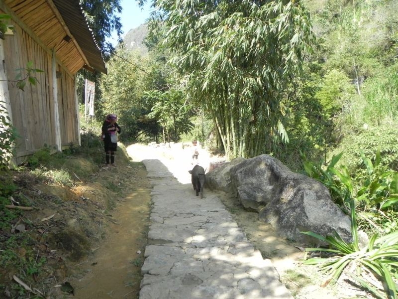 Вьетнам своим ходом с севера на юг