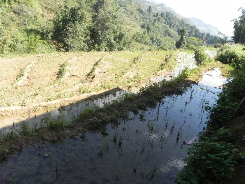 Вьетнам своим ходом с севера на юг