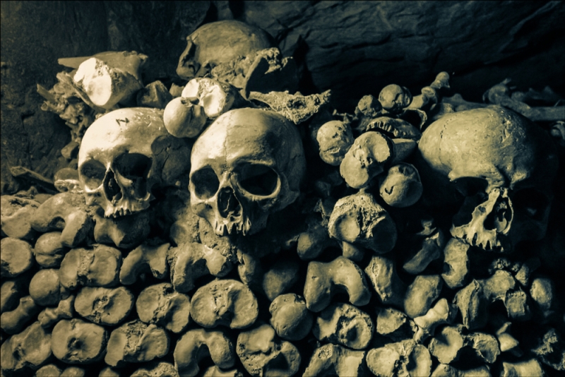 Париж, с 30 апреля по 7 мая 2016