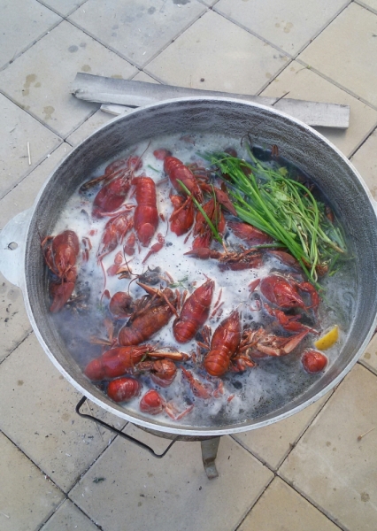 Принял на грудь, скажи что-нибудь! Трезвым вход запрещён!