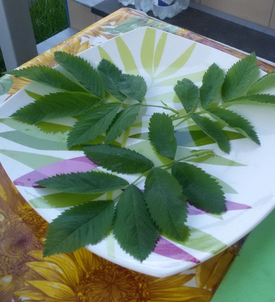 Принял на грудь, скажи что-нибудь! Трезвым вход запрещён!