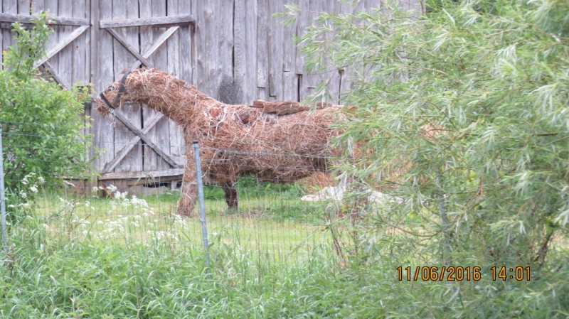 Калининград-Литва-Бельгия: путешествие с земли прусской, к пивным берегам Европы.