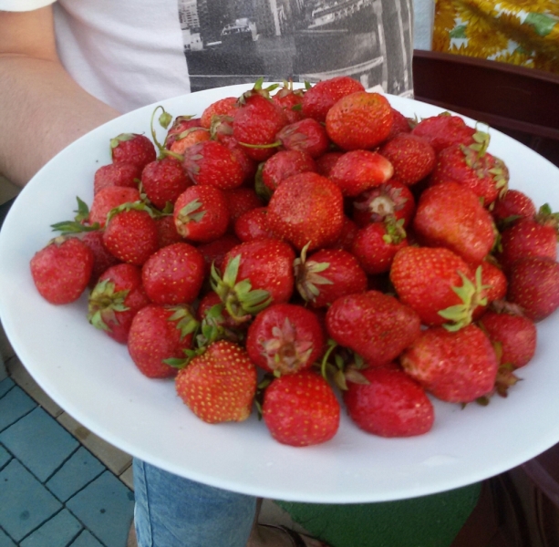 Принял на грудь, скажи что-нибудь! Трезвым вход запрещён!
