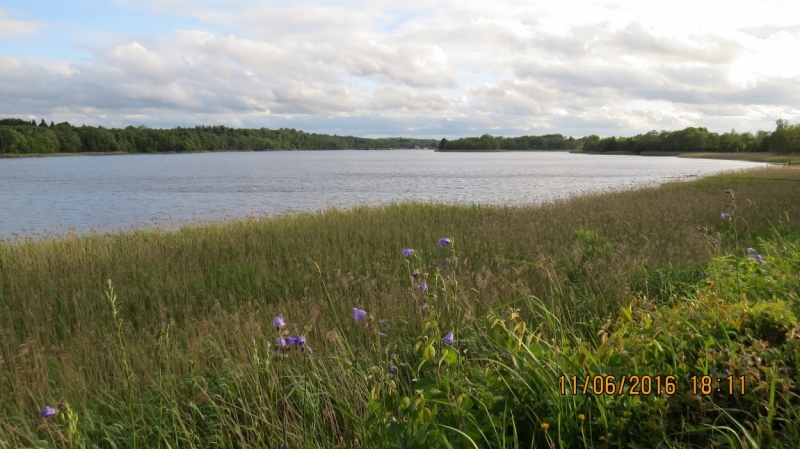 Калининград-Литва-Бельгия: путешествие с земли прусской, к пивным берегам Европы.