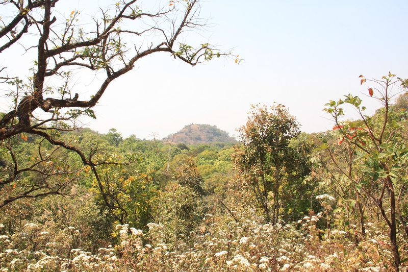 Мьянма весной. Затерянный мир золотых ступ и сияющих улыбок. От Mawlamuine до Monywa