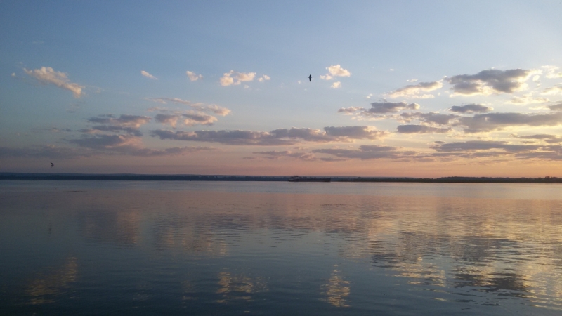 Принял на грудь, скажи что-нибудь! Трезвым вход запрещён!