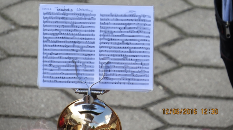 Калининград-Литва-Бельгия: путешествие с земли прусской, к пивным берегам Европы.