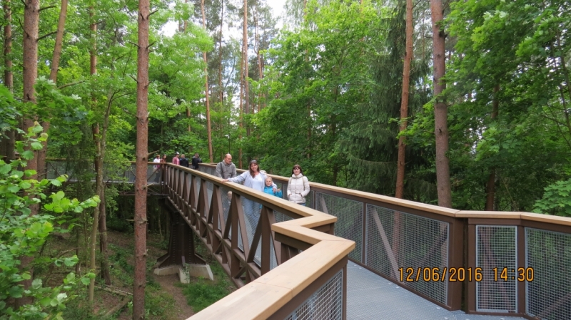 Калининград-Литва-Бельгия: путешествие с земли прусской, к пивным берегам Европы.