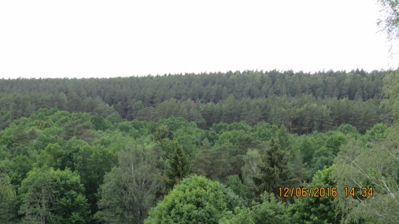 Калининград-Литва-Бельгия: путешествие с земли прусской, к пивным берегам Европы.