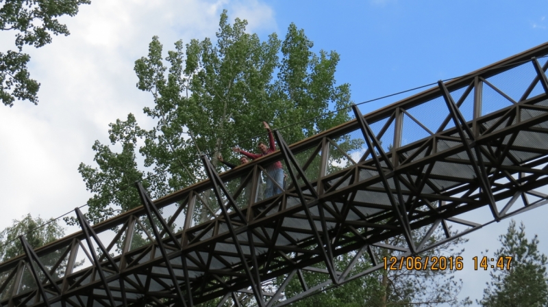 Калининград-Литва-Бельгия: путешествие с земли прусской, к пивным берегам Европы.