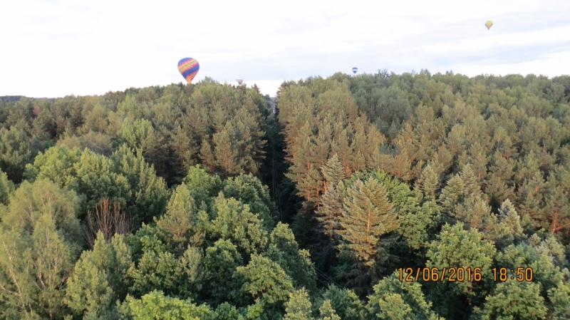Калининград-Литва-Бельгия: путешествие с земли прусской, к пивным берегам Европы.