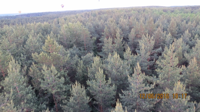 Калининград-Литва-Бельгия: путешествие с земли прусской, к пивным берегам Европы.