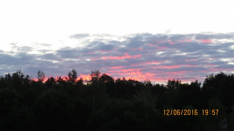 Калининград-Литва-Бельгия: путешествие с земли прусской, к пивным берегам Европы.