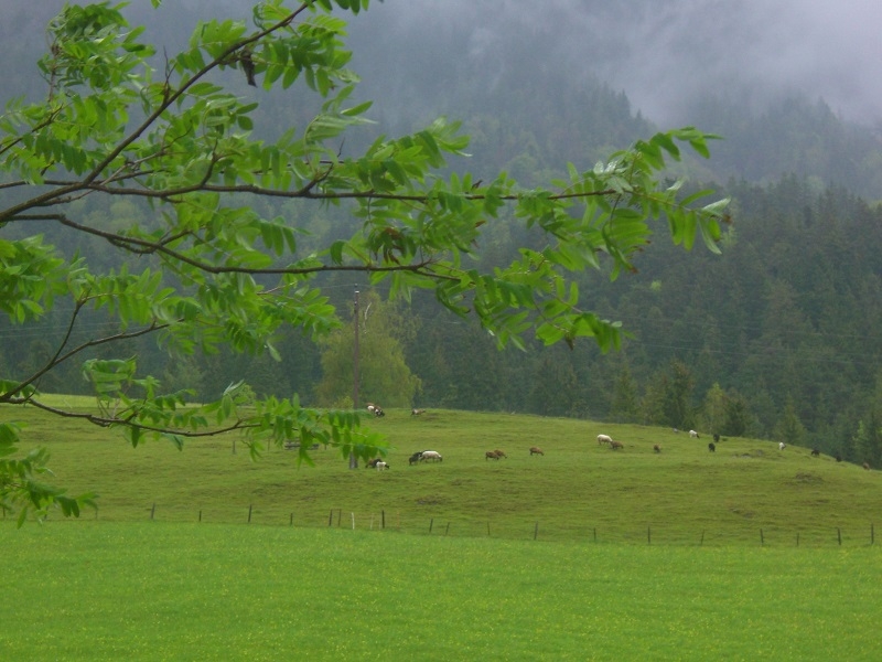 Тироль в каплях дождя