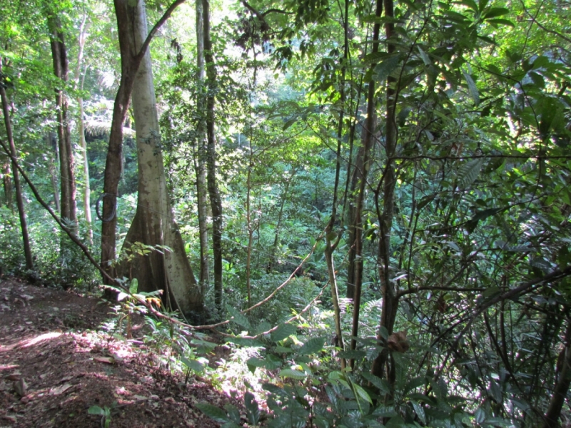 Мой первый Тай или верните меня обратно и навсегда!