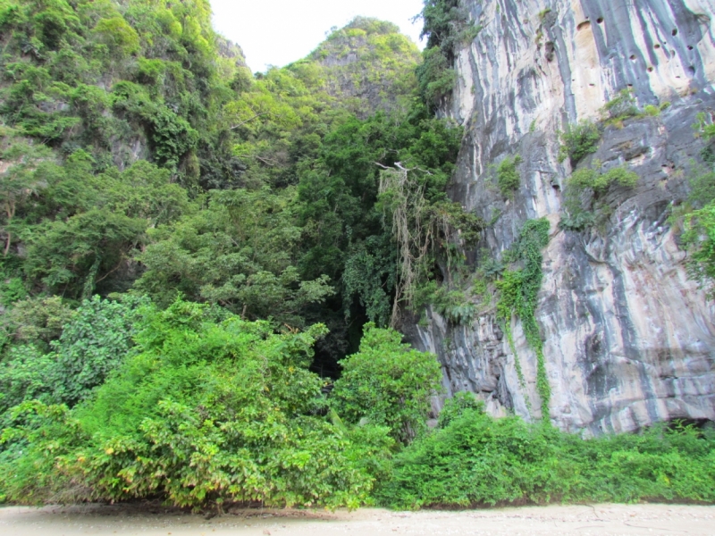 Мой первый Тай или верните меня обратно и навсегда!