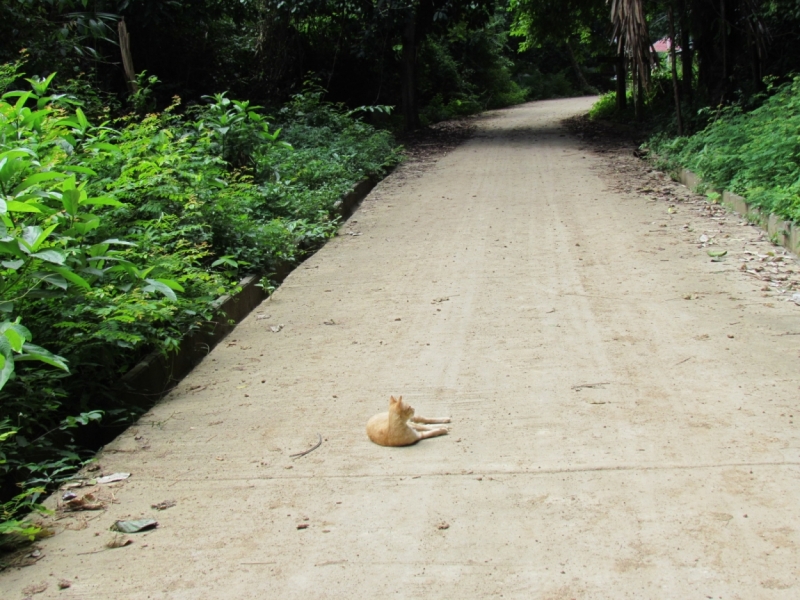 Мой первый Тай или верните меня обратно и навсегда!