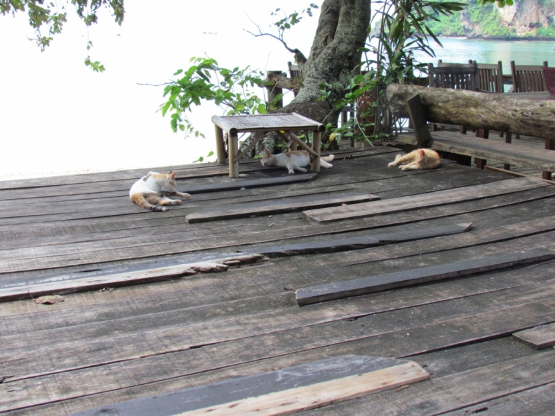 Мой первый Тай или верните меня обратно и навсегда!