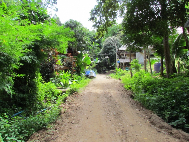 Мой первый Тай или верните меня обратно и навсегда!