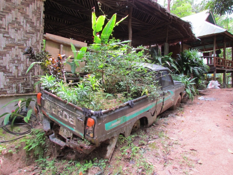 Мой первый Тай или верните меня обратно и навсегда!