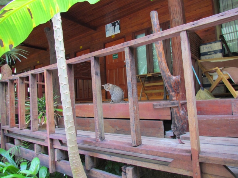 Мой первый Тай или верните меня обратно и навсегда!