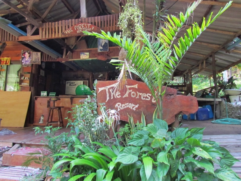 Мой первый Тай или верните меня обратно и навсегда!