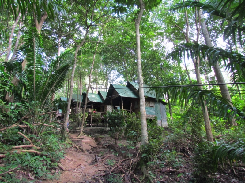 Мой первый Тай или верните меня обратно и навсегда!