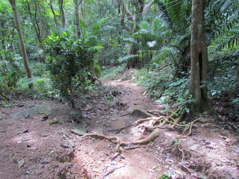 Мой первый Тай или верните меня обратно и навсегда!