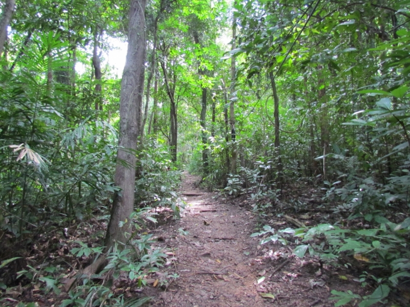 Мой первый Тай или верните меня обратно и навсегда!