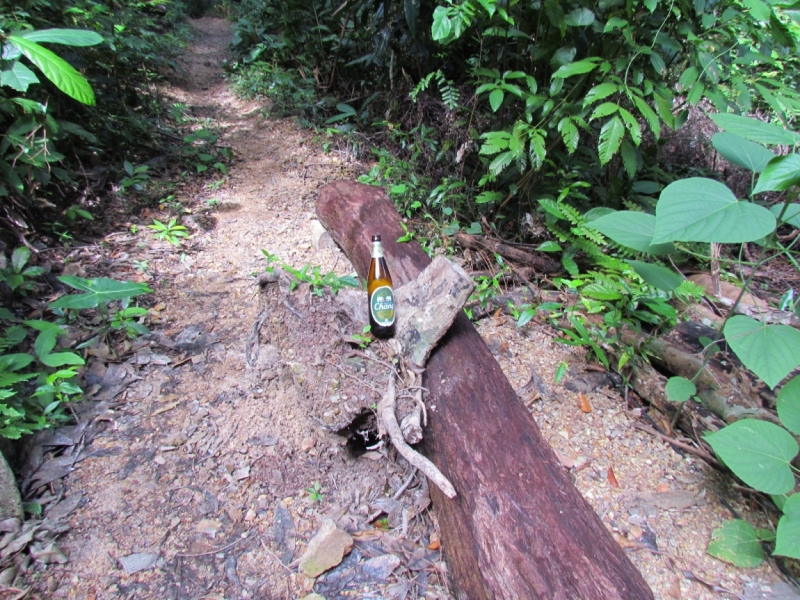 Мой первый Тай или верните меня обратно и навсегда!