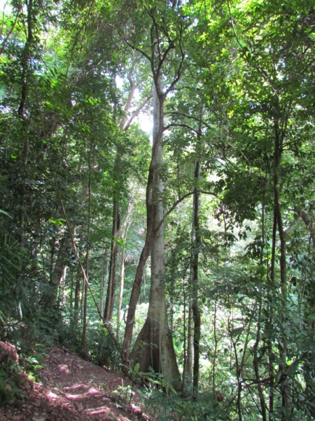 Мой первый Тай или верните меня обратно и навсегда!
