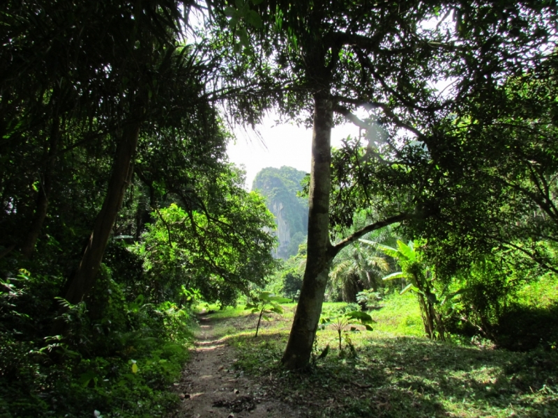 Мой первый Тай или верните меня обратно и навсегда!