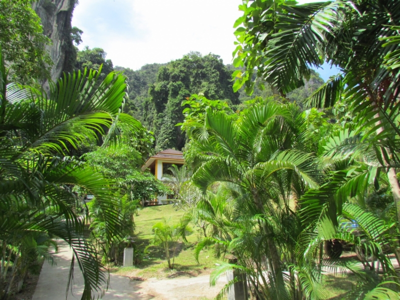 Мой первый Тай или верните меня обратно и навсегда!