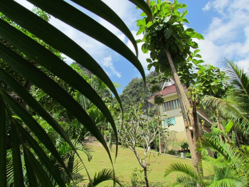 Мой первый Тай или верните меня обратно и навсегда!