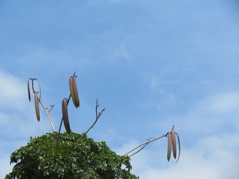 Мой первый Тай или верните меня обратно и навсегда!