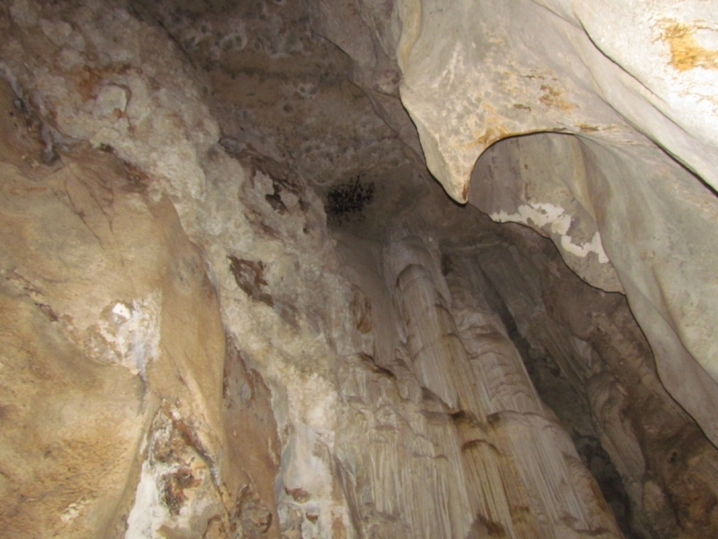 Мой первый Тай или верните меня обратно и навсегда!