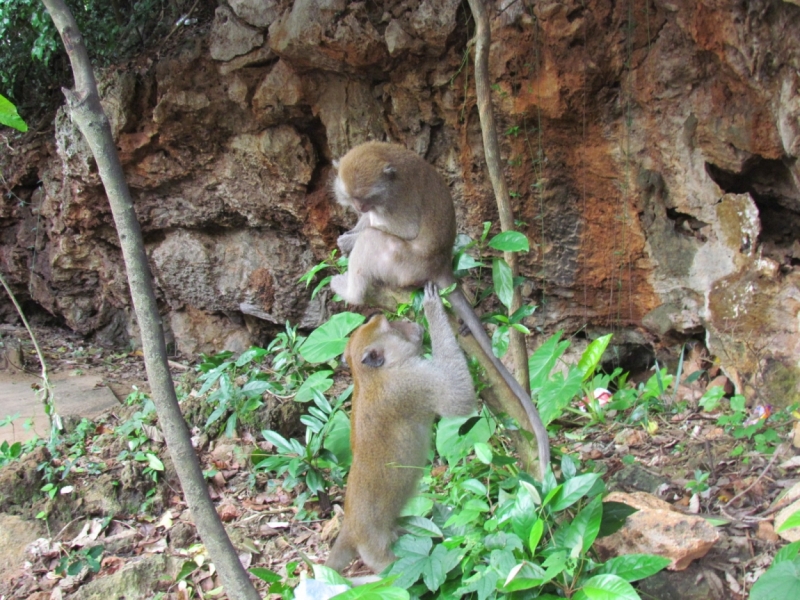 Мой первый Тай или верните меня обратно и навсегда!
