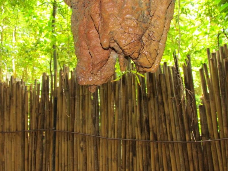 Мой первый Тай или верните меня обратно и навсегда!