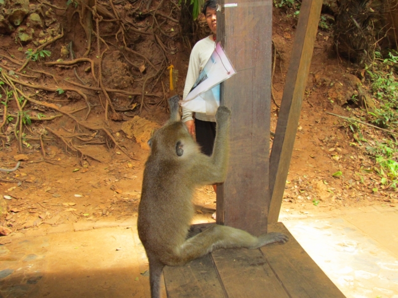 Мой первый Тай или верните меня обратно и навсегда!