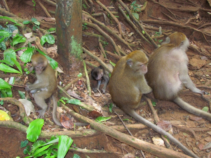 Мой первый Тай или верните меня обратно и навсегда!