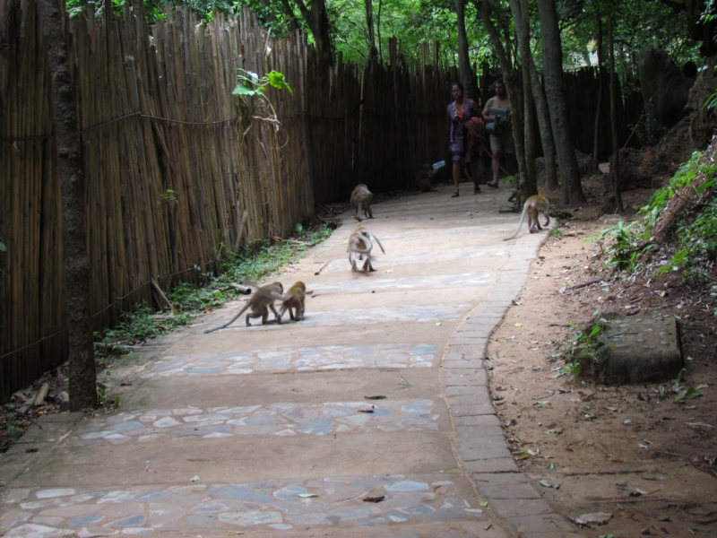 Мой первый Тай или верните меня обратно и навсегда!
