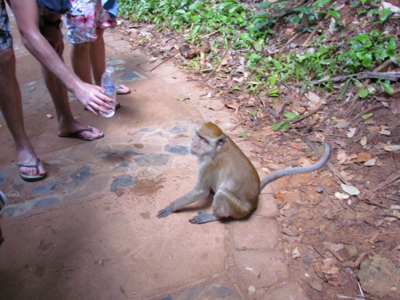 Мой первый Тай или верните меня обратно и навсегда!