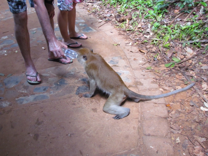 Мой первый Тай или верните меня обратно и навсегда!