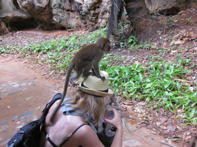 Мой первый Тай или верните меня обратно и навсегда!