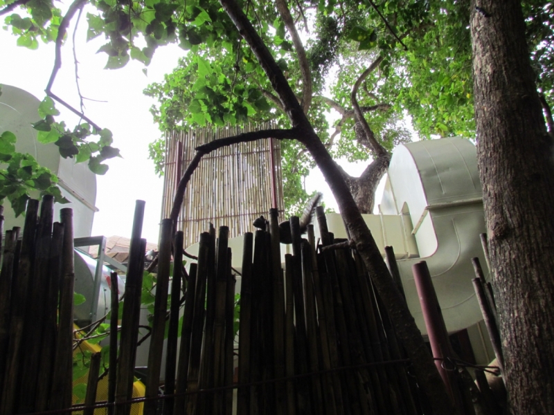 Мой первый Тай или верните меня обратно и навсегда!