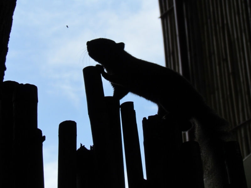 Мой первый Тай или верните меня обратно и навсегда!